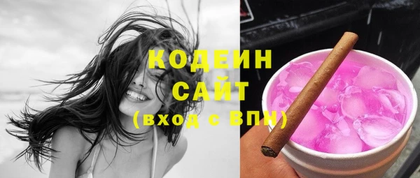 индика Волосово