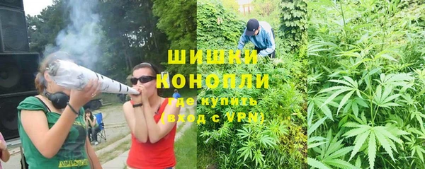сатива Волоколамск