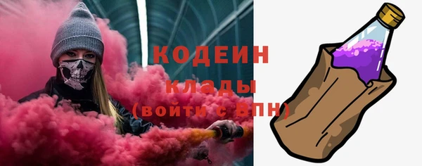 индика Волосово