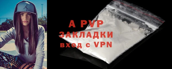 сатива Волоколамск