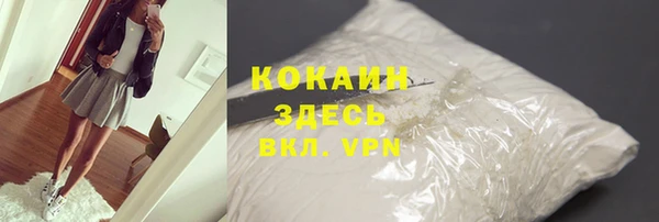 сатива Волоколамск