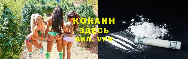индика Волосово