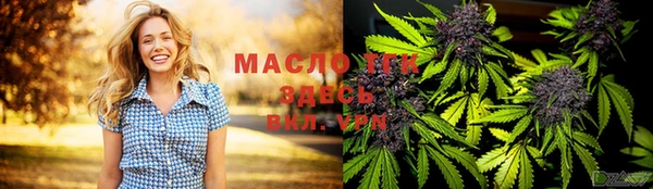 индика Волосово