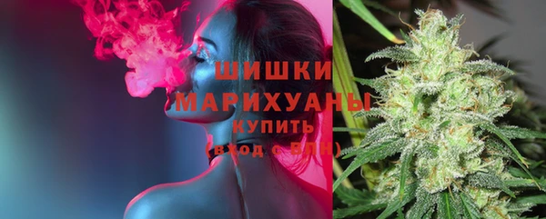 индика Волосово