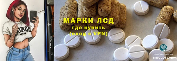 индика Волосово