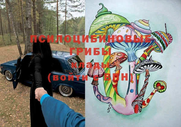 индика Волосово