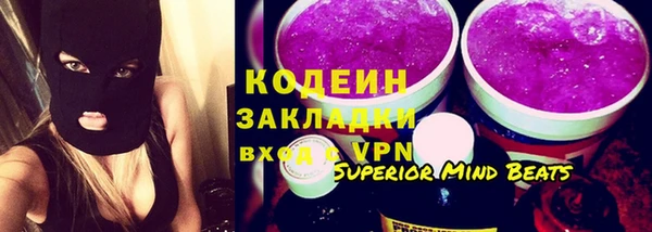 индика Волосово