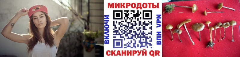 Галлюциногенные грибы прущие грибы  mega вход  Оханск 